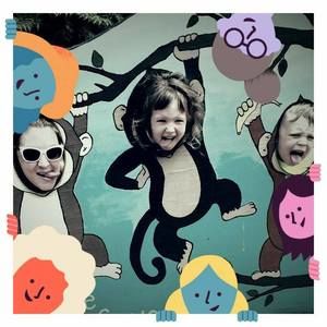 Meet your Posher, Laurel